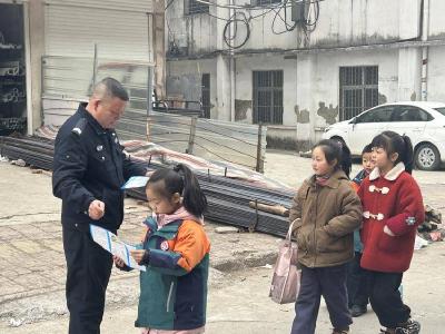 武安镇：禁毒知识带回家　共筑校园“防护墙”
