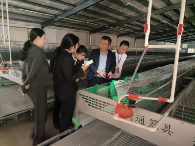 九集镇：助力乡村全面振兴 人大代表在行动