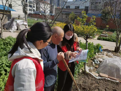城关镇​苗圃社区开展禁种铲毒行动