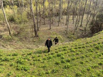 县河道堤防建设发展中心扎实推进图斑核查工作