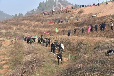 罗兴斌陈栋等县领导与干部群众共同参加义务植树活动 