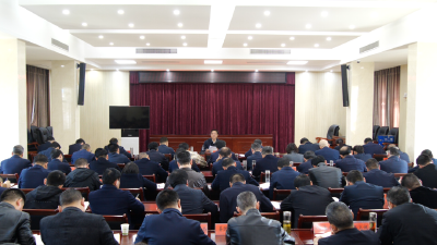 罗兴斌：夯实责任，强化措施，扎实做好春季森林防灭火工作