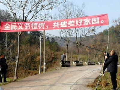 双坪中学：人勤春早添新绿 教师志愿植树忙