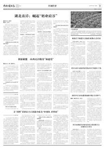 湖北南漳：崛起“奶业硅谷” 