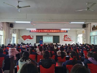 东巩镇开展青春期健康教育活动