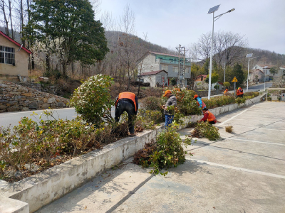 南漳公路：苗木补植管护忙 驿站添绿换新颜