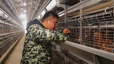 我县一项家禽养殖技术荣获省技术大赛一等奖  