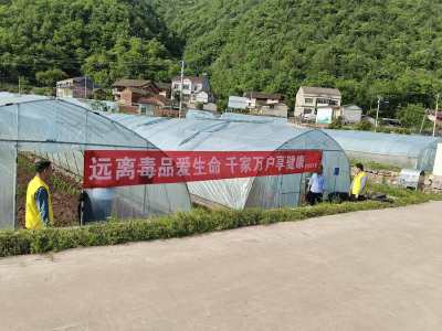 巡检镇开展禁种铲毒宣传踏查专项行动