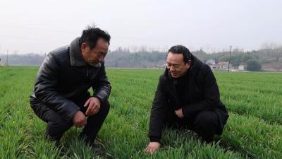 【新春走基层】 人勤不负好春光 春耕备耕正当时