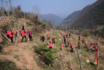 ​城关镇：盘活集体资源 共植美好未来