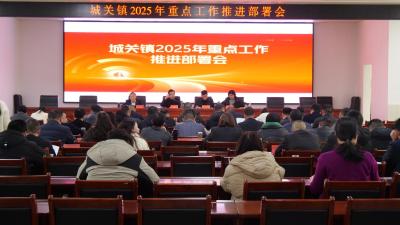 城关镇2025年重点工作推进部署会召开  