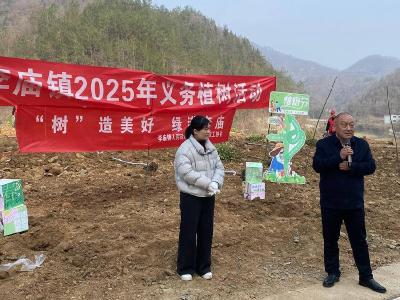 李庙镇：“树”造美好　旅游码头添新绿