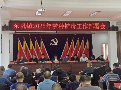 东巩镇：推进禁种铲毒 筑牢禁毒防线