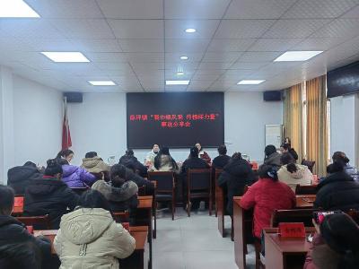​薛坪镇：聚焦妇女工作 凝聚奋进力量