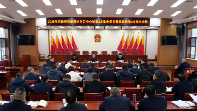 县政府召开党组理论学习中心组集中学习暨常务会议 