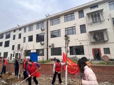 长坪镇妇联开展春季义务植树活动
