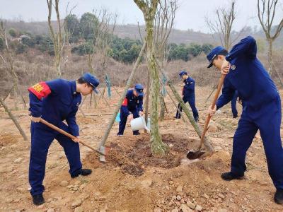 南漳消防：植树添绿践初心 防火护林守平安