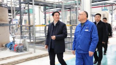 罗兴斌调研督导重点项目建设时强调：积极推动“两资三能”工程落地见效，奋力夺取一季度“开门红”