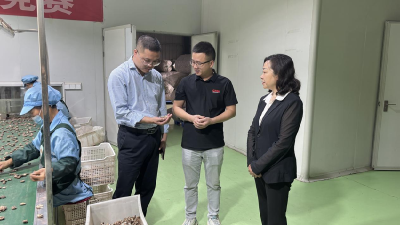 东巩镇第四代表联络站开展“四级人大代表集中活动周”专题活动