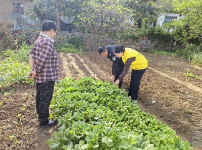 肖堰镇：禁种铲毒不止步 踏查宣传守净土