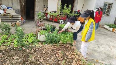 ​武安镇：春暖花开万物苏　禁种铲毒守净土