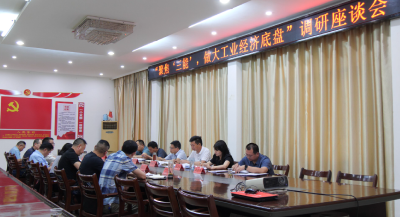 县政协召开“聚焦‘三能’ 做大工业经济底盘”调研座谈会  