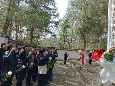 板桥镇组织开展清明祭英烈活动