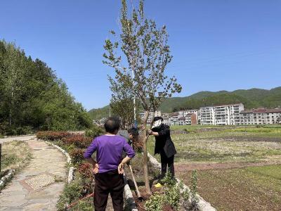 巡检社区：守护碧水清流 共建美丽家园