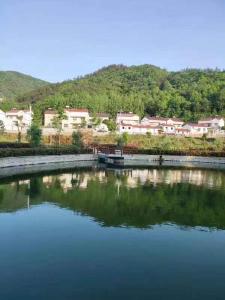 长坪镇：推进小微水体治理　打造生态振兴样板