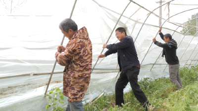 迎风而上 我县农业部门全力保障农业生产  