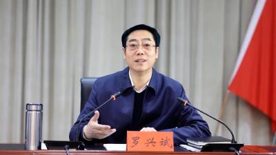 县委农村工作会议召开 罗兴斌强调：严守“两条底线”聚力“三个提升”强化“四个保障”，做深做实做细“三农”工作