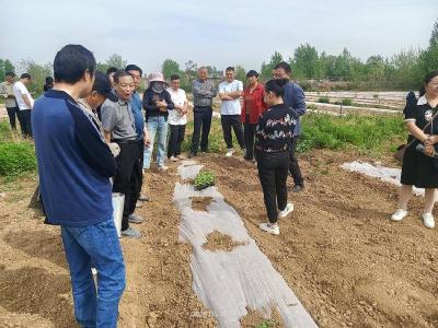 城关镇举办南瓜种植技术培训