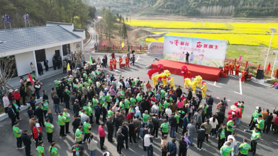 李庙镇乡村运动会引领健康新风尚  