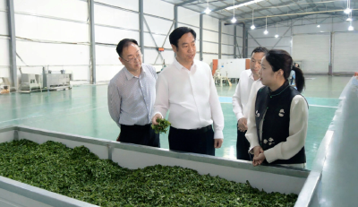 罗兴斌到李庙镇肖堰镇武安镇调研时强调：加快推动农文旅深度融合，为乡村振兴注入强劲动能 