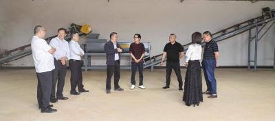 高效复合肥田间试验研究助力乡村振兴