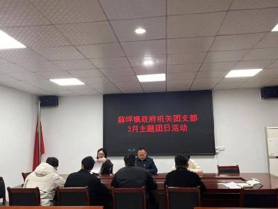 薛坪镇：践行志愿精神 奏响青春华章