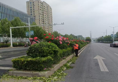 县城管执法局：春日养护“组合拳” 描绘城市“新画卷”