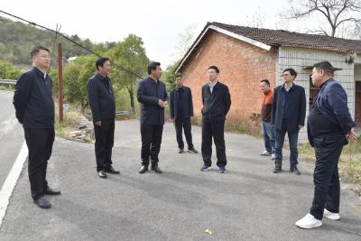 省林业局领导到我县调研指导当前林业重点工作