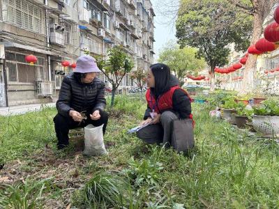 卞和社区促进网格资源深度延伸