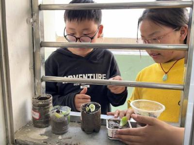 金钟中心小学：废旧利用播种绿色希望