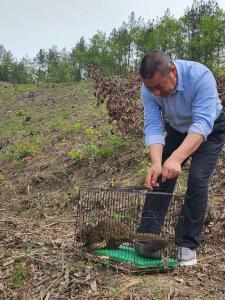 长坪镇：守护生态平衡 共建绿色家园