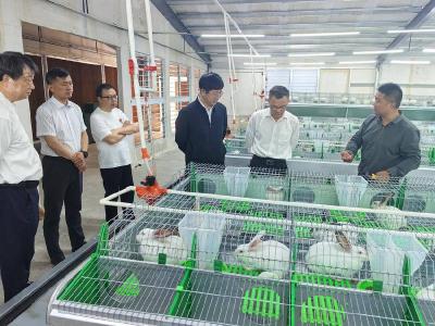 省农业事业发展中心调研组到我县调研
