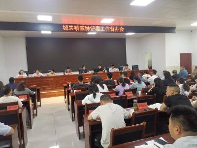 城关镇多管齐下筑牢禁种铲毒“防护网”