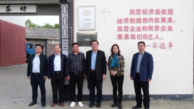 台湾总裁商会会长陈长梅一行到我县开展农旅茶文化交流活动  