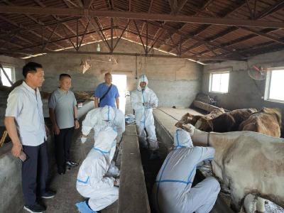 市重大动物疫病防控检查组到我县开展交叉检查