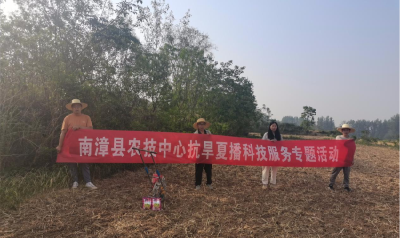 县农技中心开展抗旱夏播技术服务