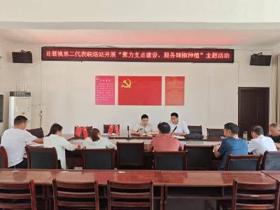 肖堰镇第二代表联络站开展专题调研活动