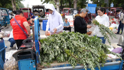 艾草迎端午，市民采购忙