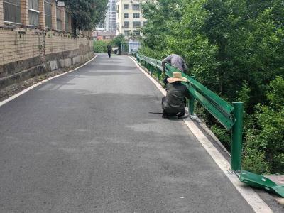 城关镇便河村为玉凤路安装防护栏