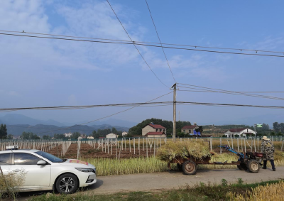 巡检镇：多措并举筑牢秸秆禁烧防线